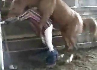 Damsel is having an intense zoophilia entertainment