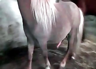 Close-up banging for a MILF