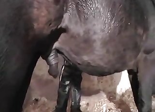 Leather-clad BBW MILF wrecked for good