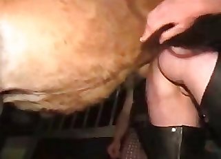MILF in leather pants and a horny animal have good sex