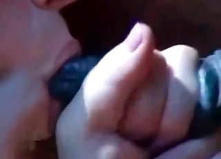 Mutt gets its dick sucked off