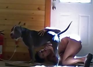 Cute-looking hottie is enjoying intensive bestiality