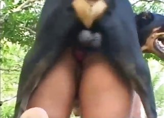 Wife slut and her doggy enjoy sex