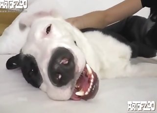 A zoophilic prostitute is deepthroating a beast