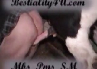 Fat zoophile fucks a hung beast at night