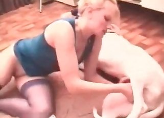 Shepherd and a clothed blonde