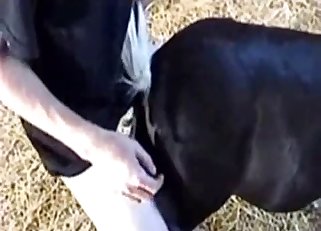 Dude violates this animal's hole