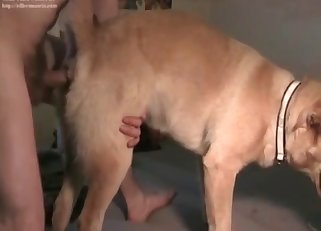 Doggy and host make a good couple