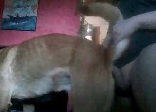 Banging with my trained doggy on camera