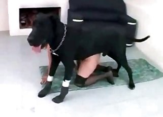Adorable lady is enjoying her trained animal